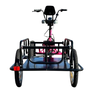 Liberty Trike Cargo Trailer